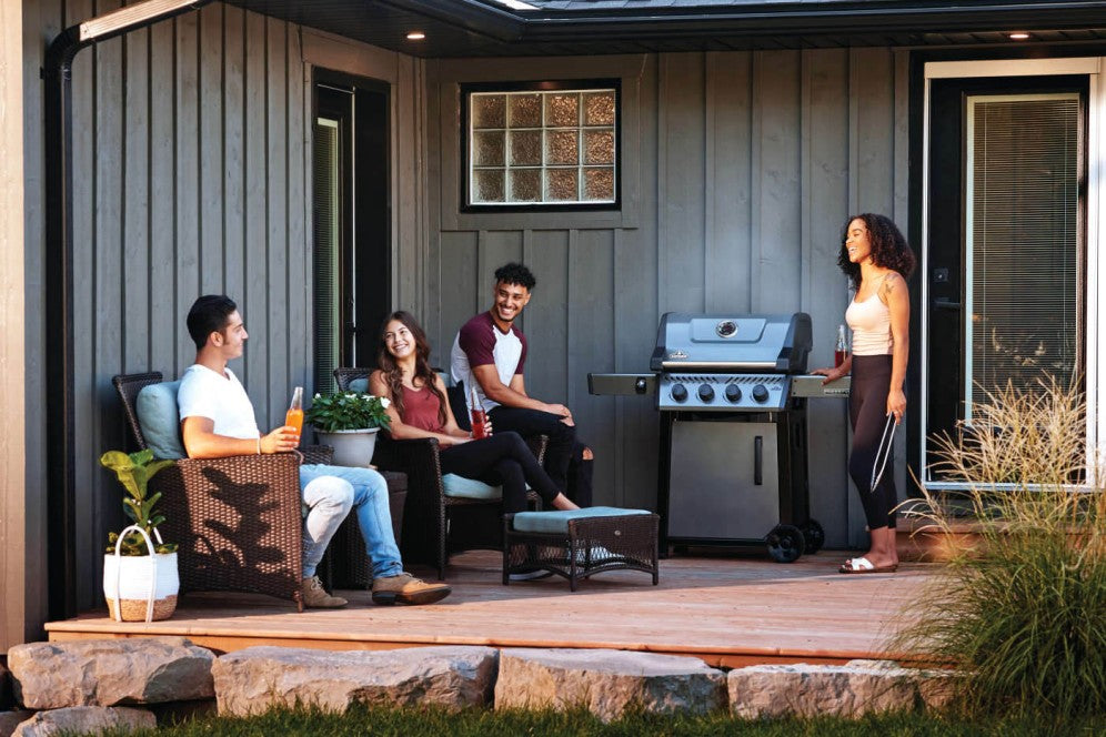 Napoleon Freestyle 425