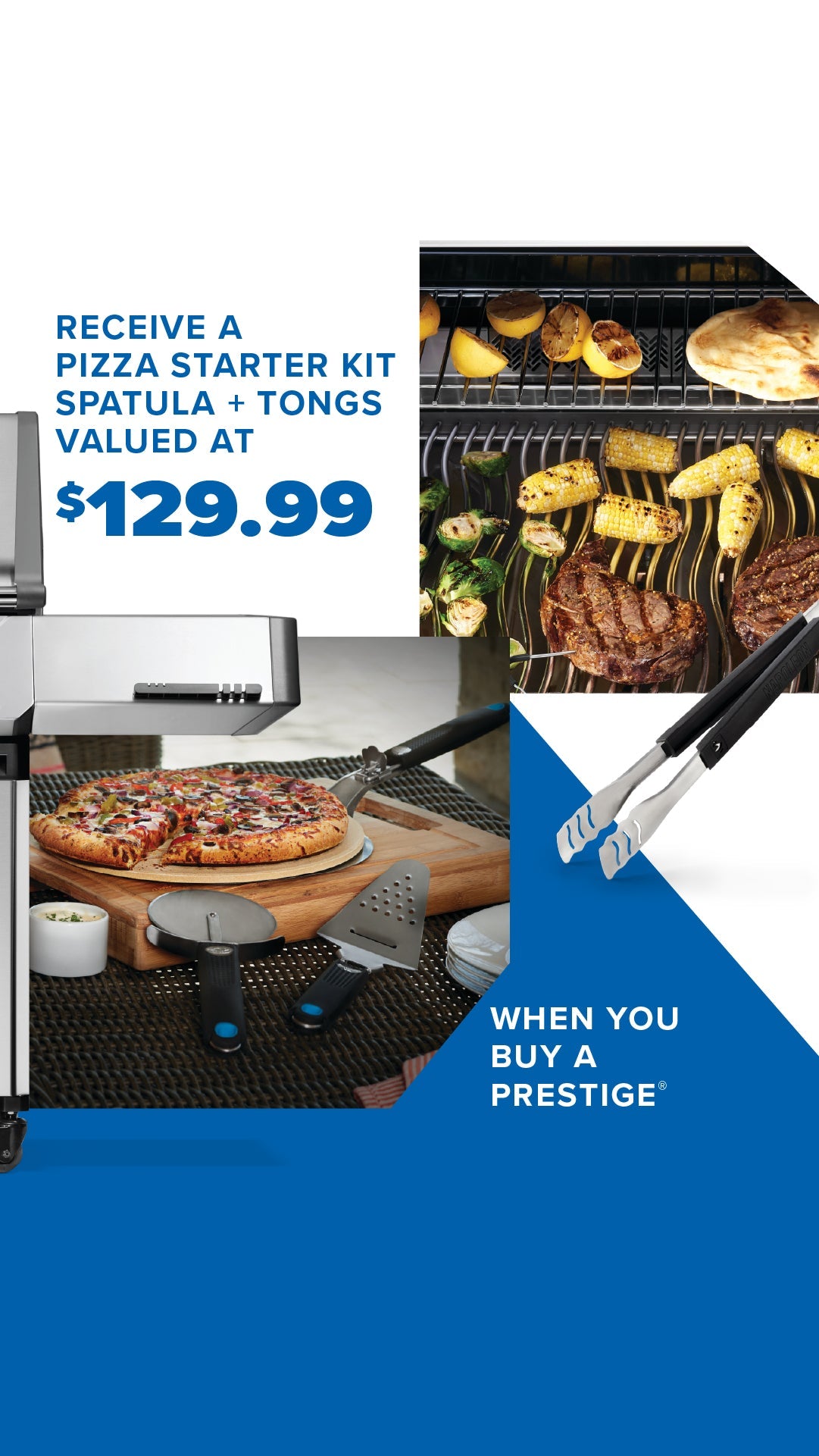 Napoleon Prestige 665 RSIB Gas Grill