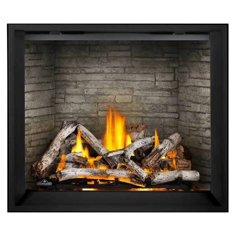 Napoleon Elevation X 42" Direct Vent Gas Fireplace