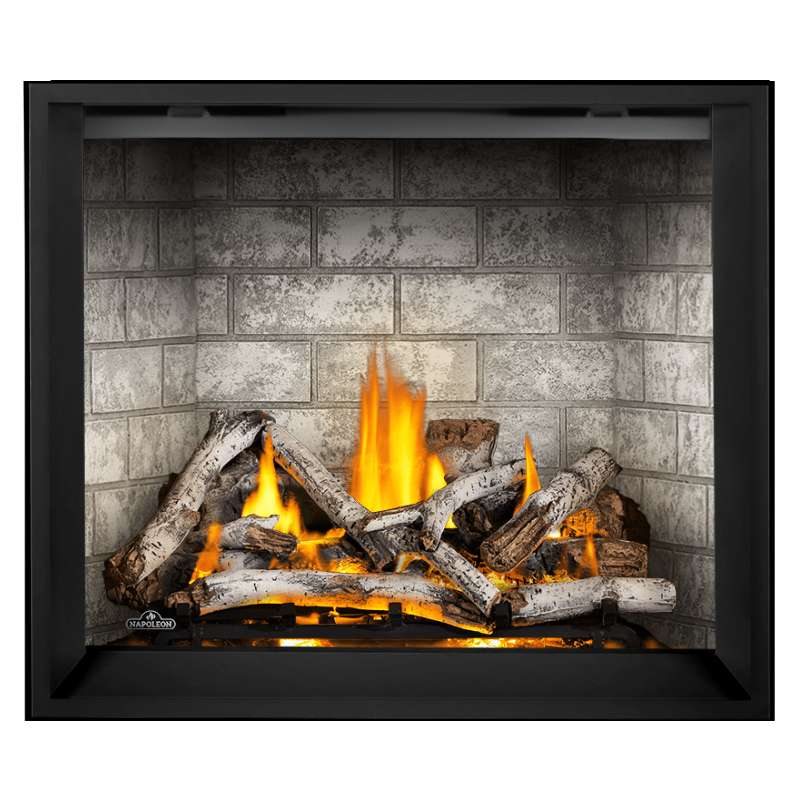 Napoleon Elevation X 42" Direct Vent Gas Fireplace