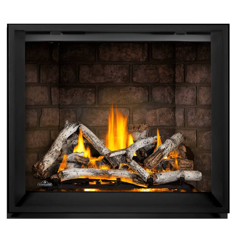 Napoleon Elevation X 42" Direct Vent Gas Fireplace