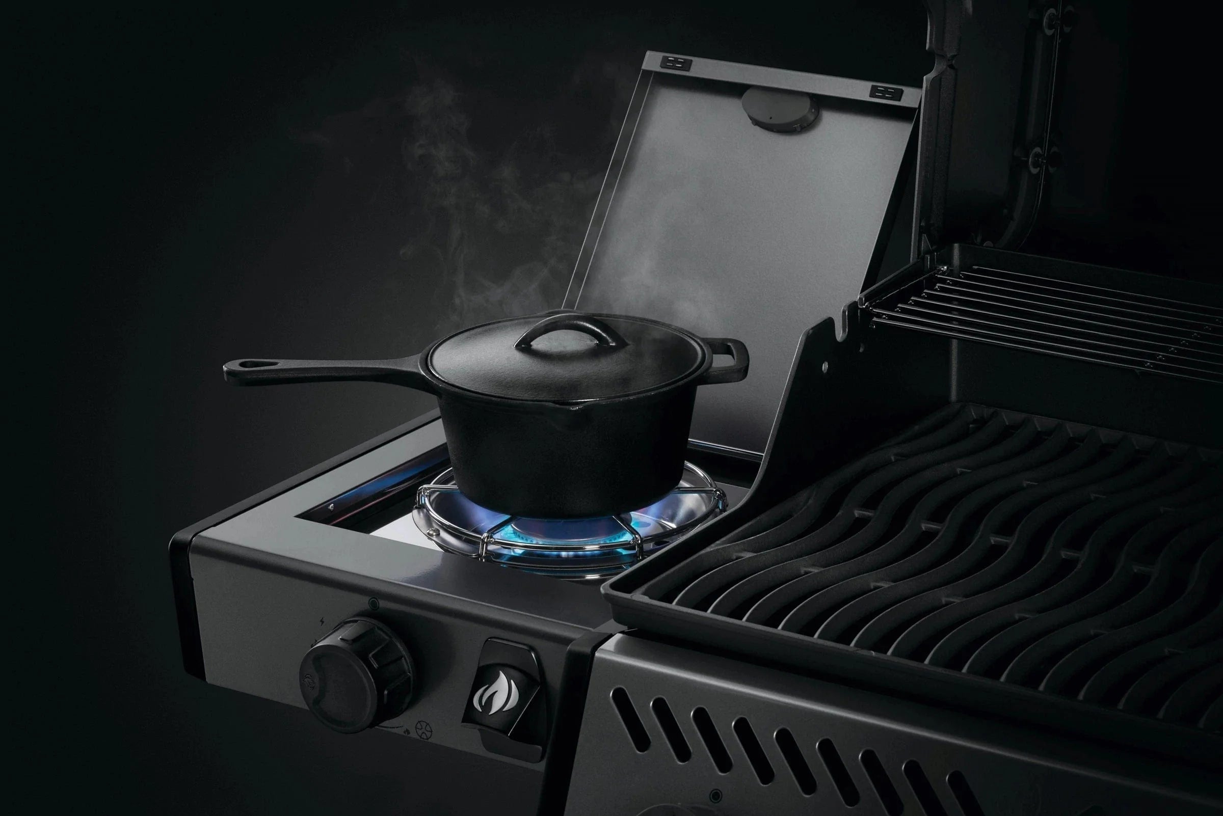 Napoleon Napoleon Freestyle 425 SB Gas Grill (Propane - Online Only) - F425DSBPGT-ECP F425DSBPGT-ECP Barbecue Finished - Gas