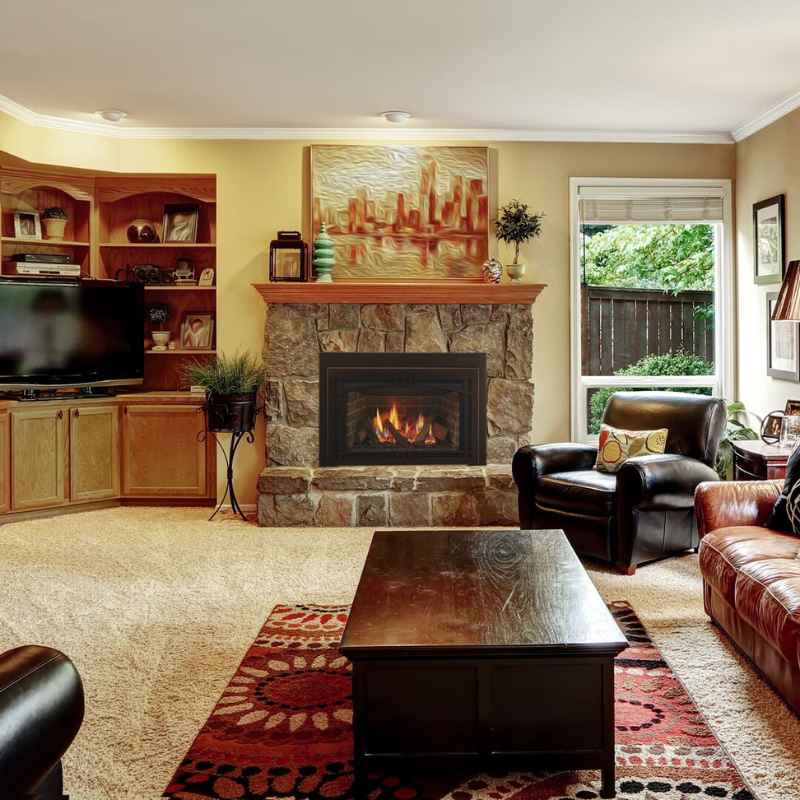 Majestic Ruby 35" Direct Vent Gas Insert