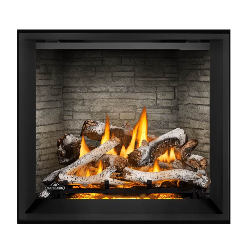 Napoleon Elevation X 36" Direct Vent Gas Fireplace