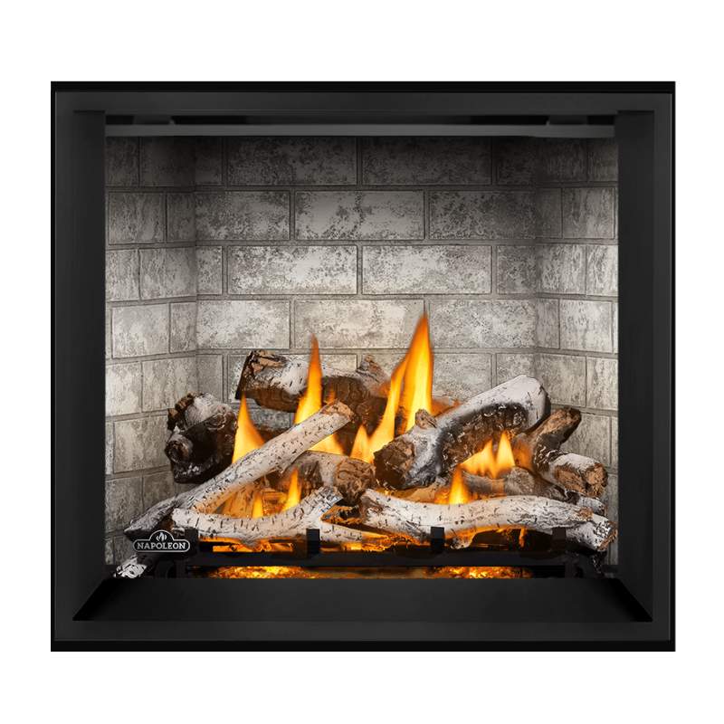 Napoleon Elevation X 36" Direct Vent Gas Fireplace