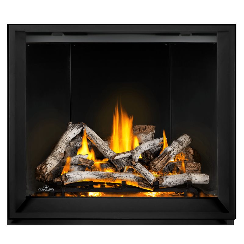 Napoleon Elevation X 42" Direct Vent Gas Fireplace