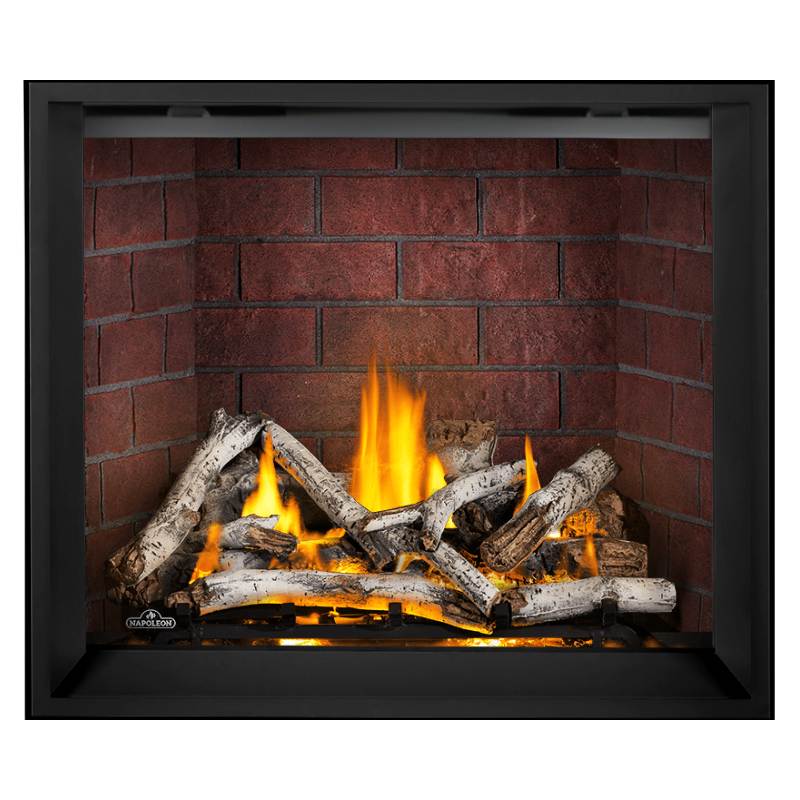 Napoleon Elevation X 42" Direct Vent Gas Fireplace